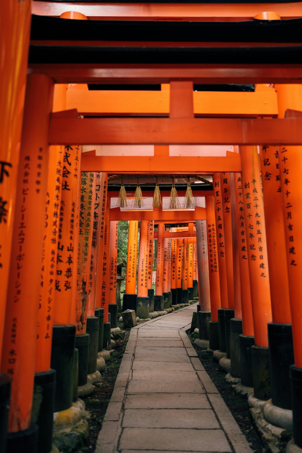 Fushimi inari