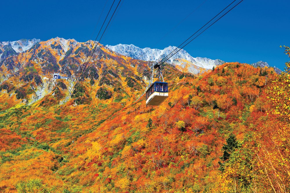 新潟景點,新潟 景點 冬,新潟美食,新潟 蟹,新潟 日本,新潟好去處