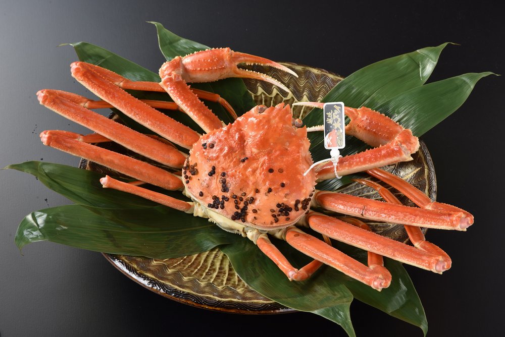 新潟景點,新潟 景點 冬,新潟美食,新潟 蟹,新潟 日本,新潟好去處