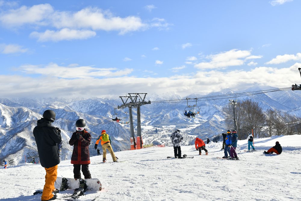 新潟景點,新潟 景點 冬,新潟美食,新潟 蟹,新潟 日本,新潟好去處