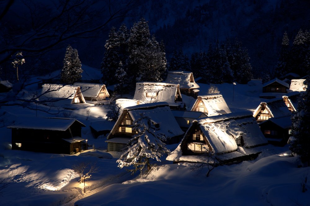 新潟景點,新潟 景點 冬,新潟美食,新潟 蟹,新潟 日本,新潟好去處