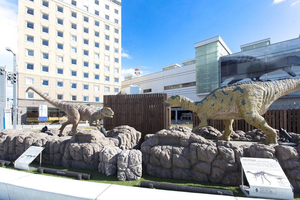 新潟景點,新潟 景點 冬,新潟美食,新潟 蟹,新潟 日本,新潟好去處