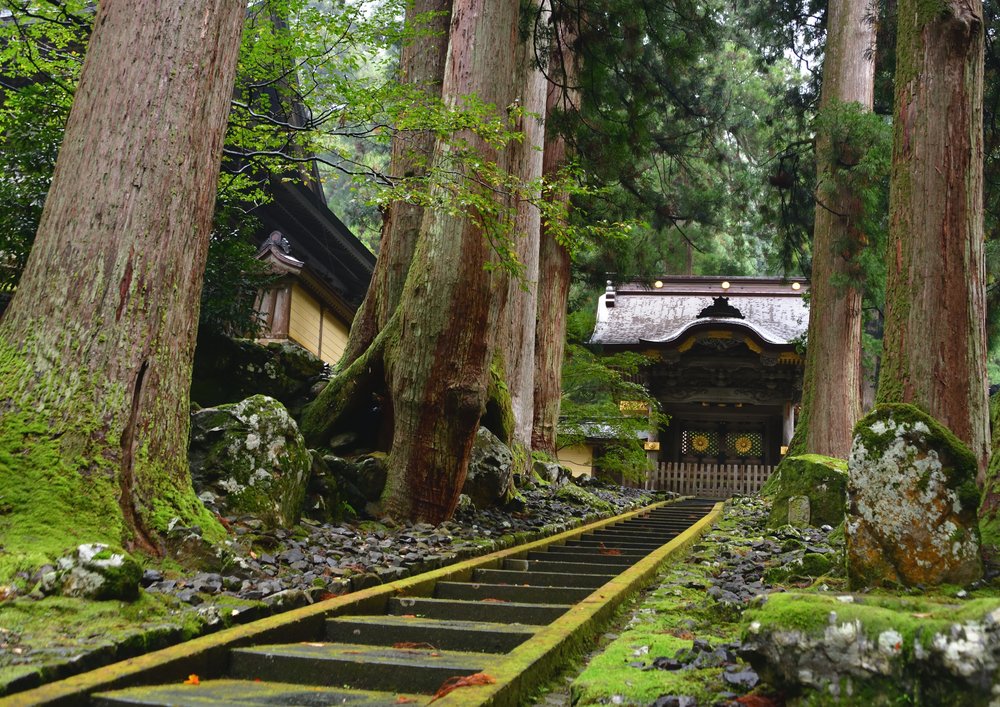 新潟景點,新潟 景點 冬,新潟美食,新潟 蟹,新潟 日本,新潟好去處