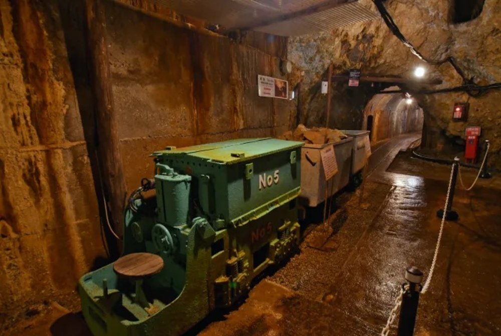 新潟景點,新潟 景點 冬,新潟美食,新潟 蟹,新潟 日本,新潟好去處