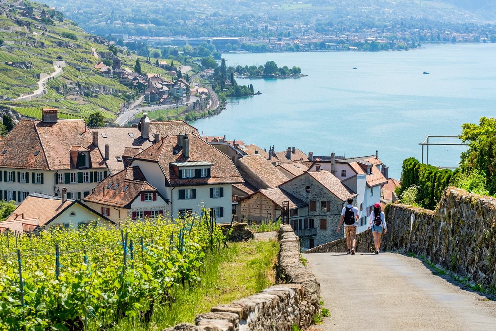 เดินเล่นท่ามกลางไร่องุ่น Lavaux