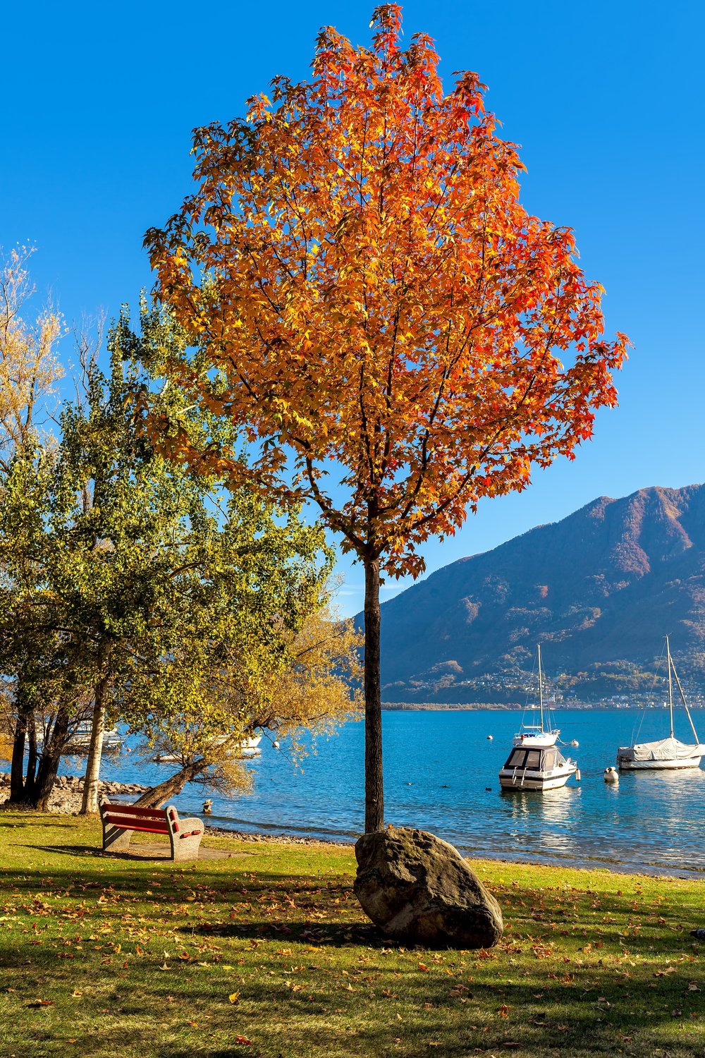 เมืองริมทะเลสาบ Lago Maggiore