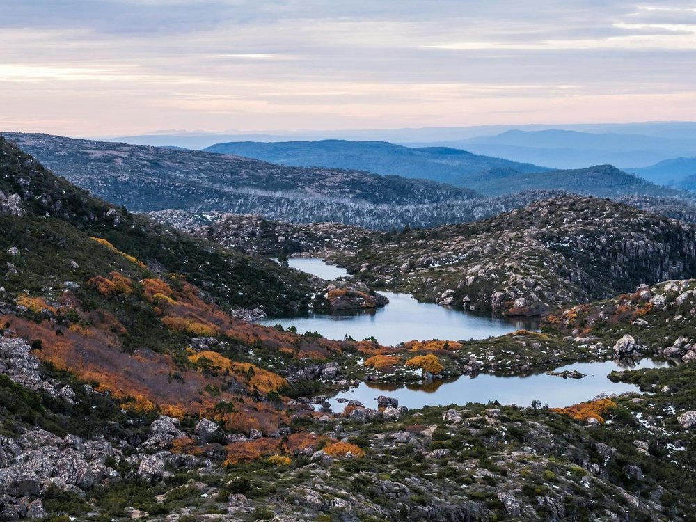 Vườn Quốc Gia Mount Field