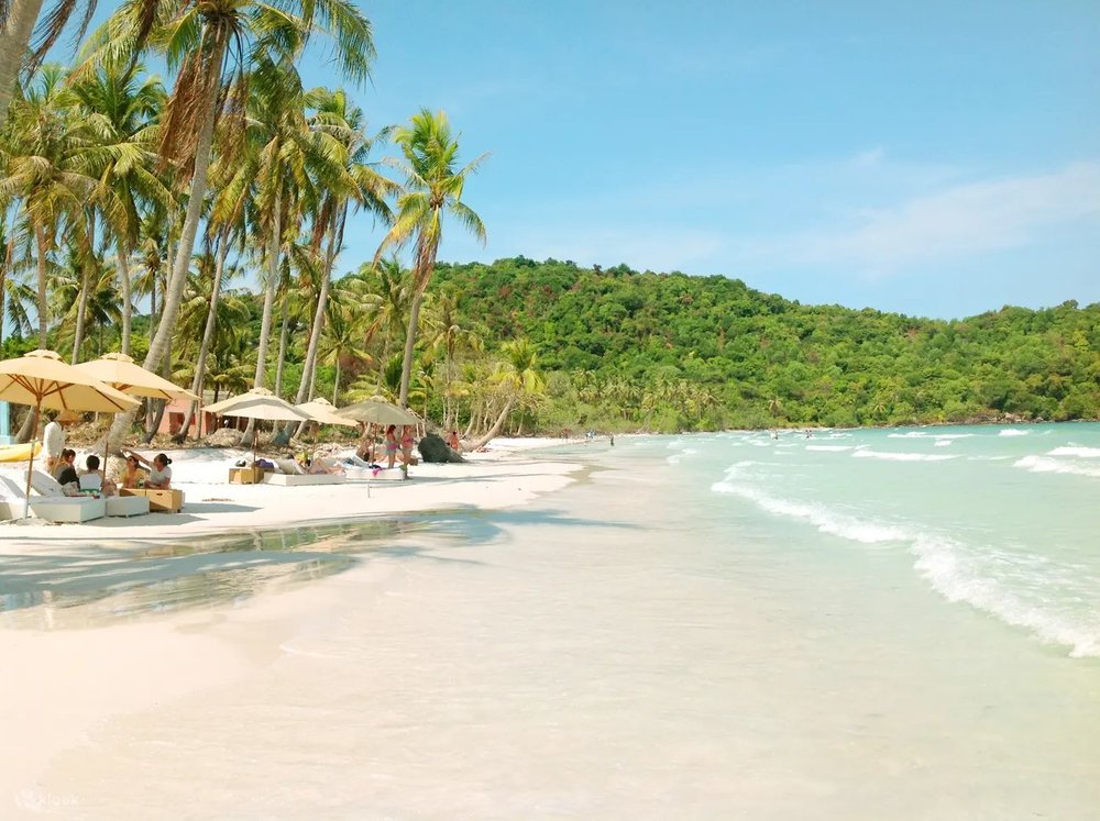 Khám Phá Nam Đảo Phú Quốc: Thiên Đường Check-in Vạn Người Mê!