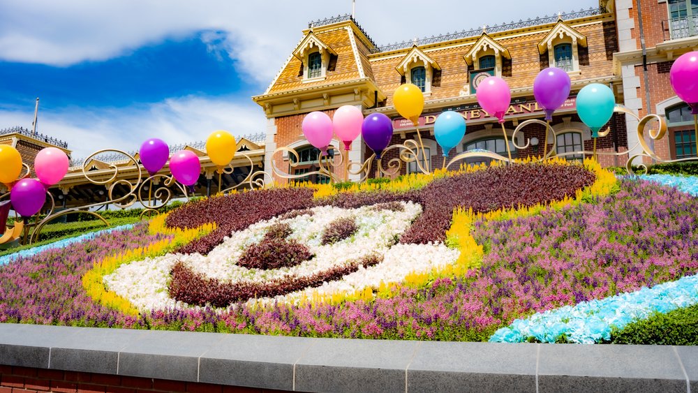 香港ディズニーランド・リゾート20周年の初日へ! ミッキー花壇