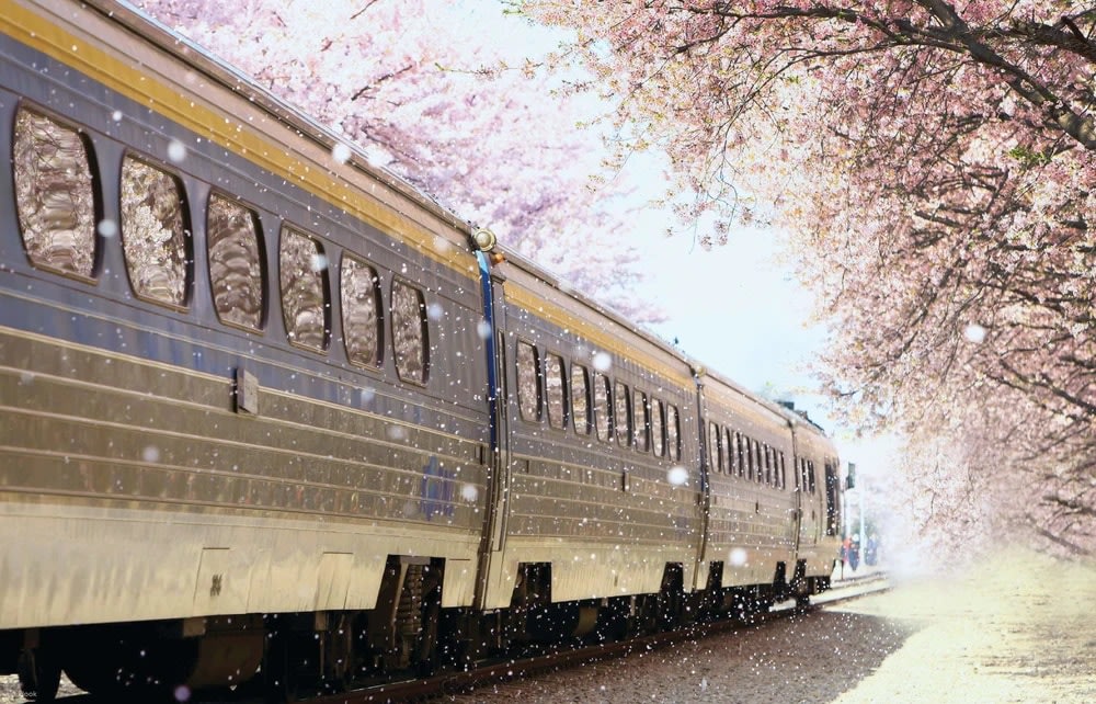 釜山自由行｜釜山天氣