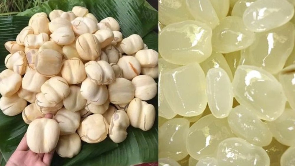  Thốt Nốt Tươi – Đặc Sản “Vàng” Miền Thất Sơn