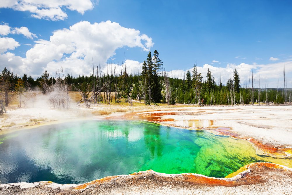 Yellowstone Vào Mùa Đông – Vẻ Đẹp Hoang Dã Trong Sắc Trắng