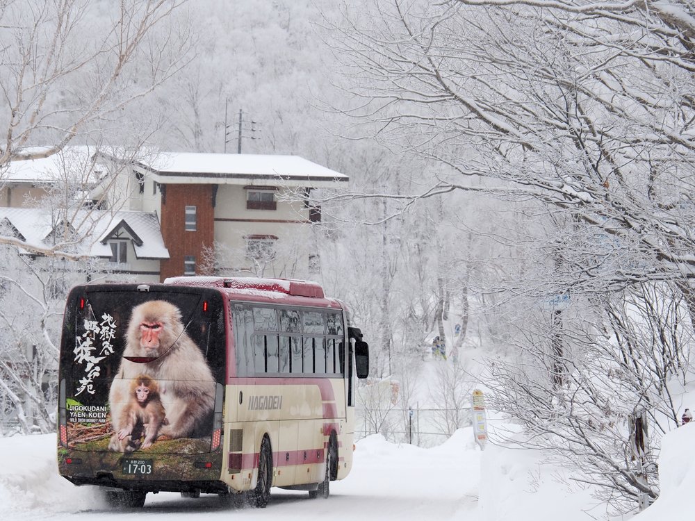 Shiga Kogen Express Bus