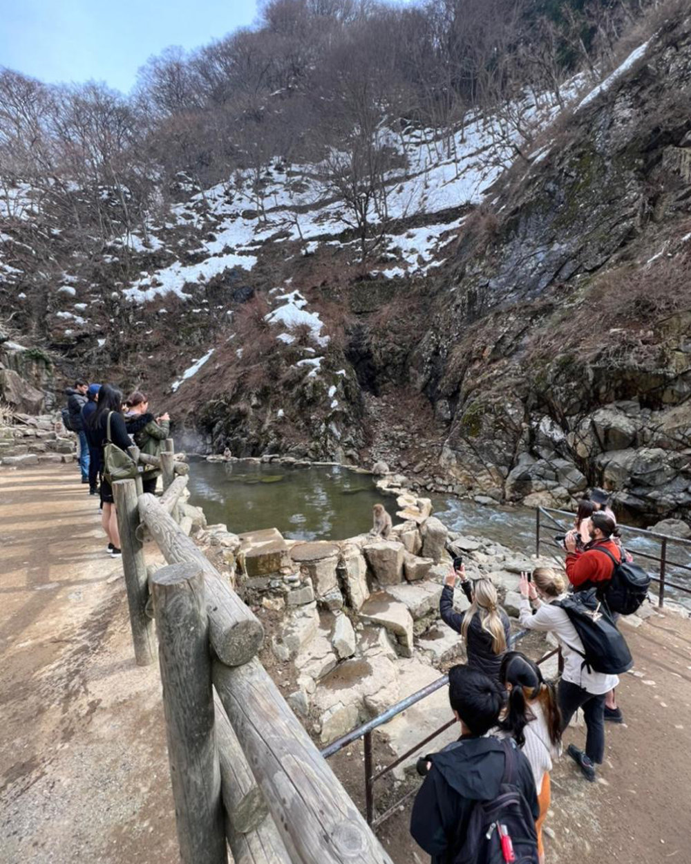 Nagano Snow Monkey Viewing Area