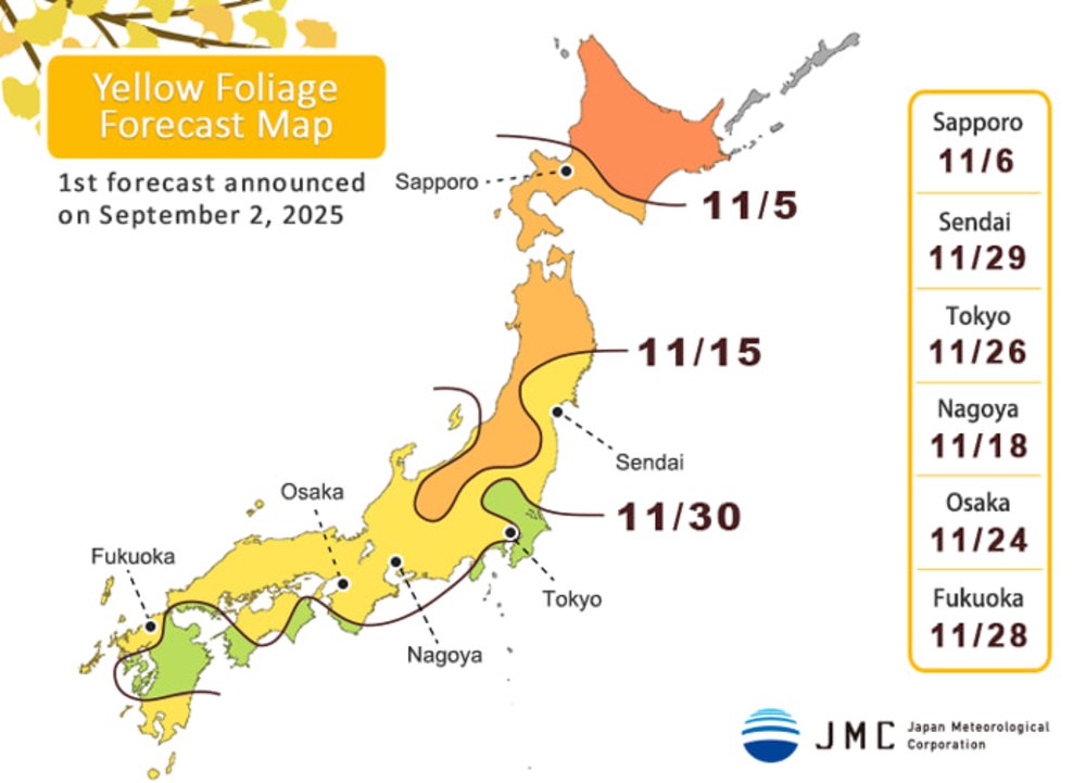 Japan Autumn Yellow Leaves Forecast 2025