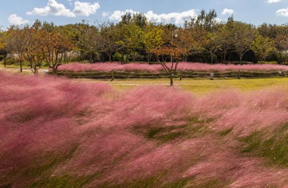 釜山天氣 釜山9月活動 釜山10月活動 釜山11月活動