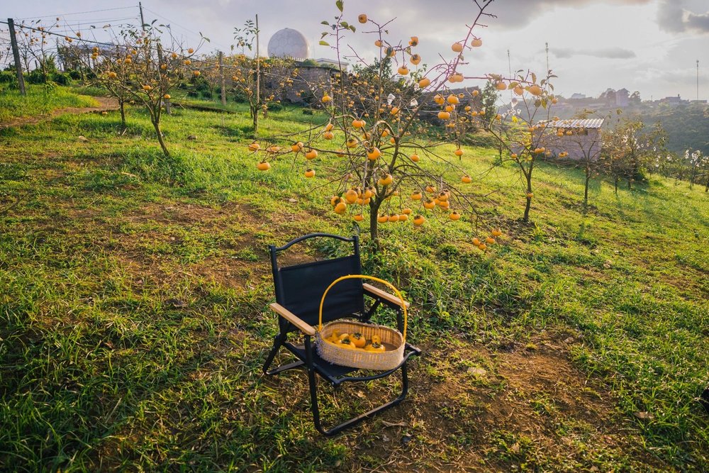 Du Lịch Mùa Thu Ở Mộc Châu