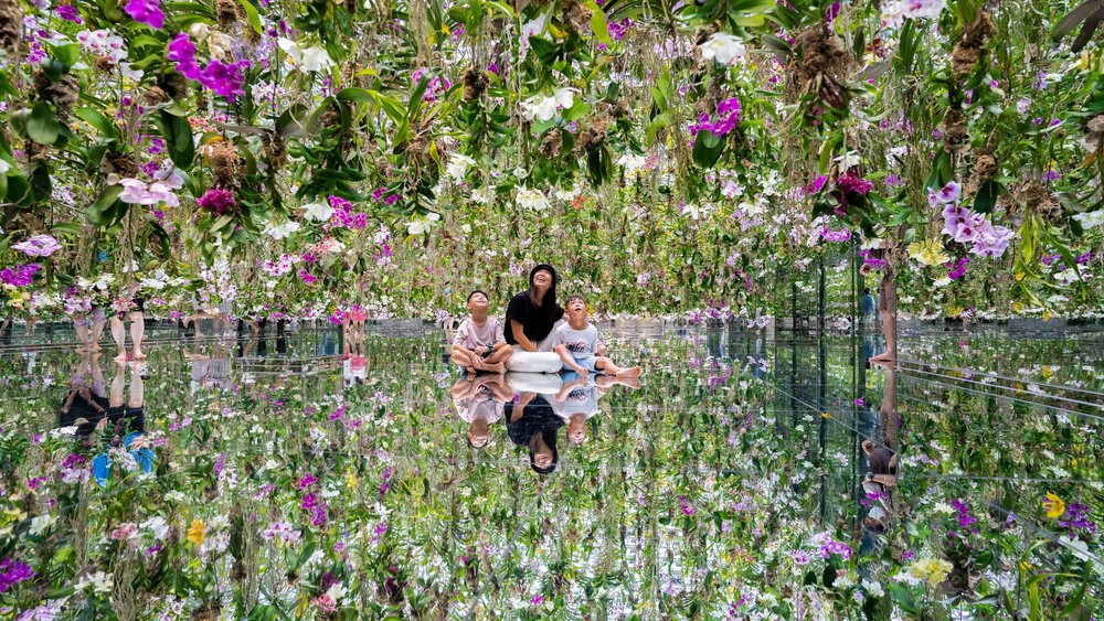 An orchid installation in teamLab Tokyo