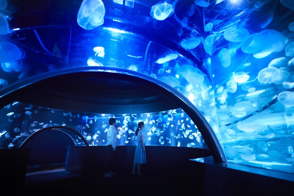 Inside Kyoto Aquarium