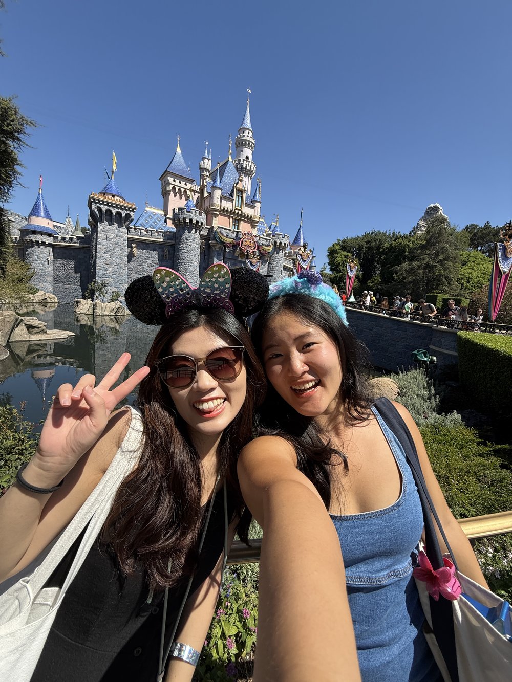 Disneyland California Lightning Lane Guide - Disneyland Park Castle