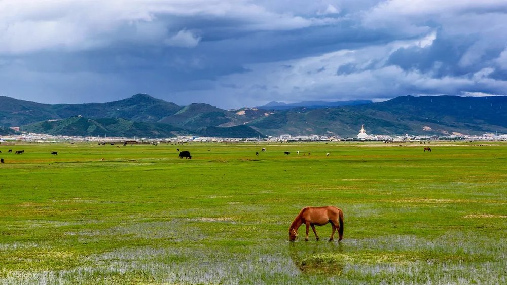 Xe Buýt Du Lịch Và Shuttle Bus