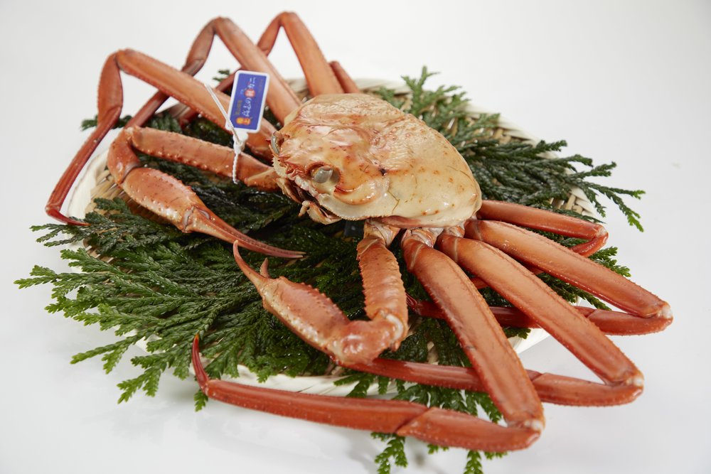 新潟景點,新潟 景點 冬,新潟美食,新潟 蟹,新潟 日本,新潟好去處