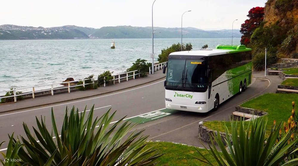 Cách Di Chuyển Đến Đảo Bắc New Zealand