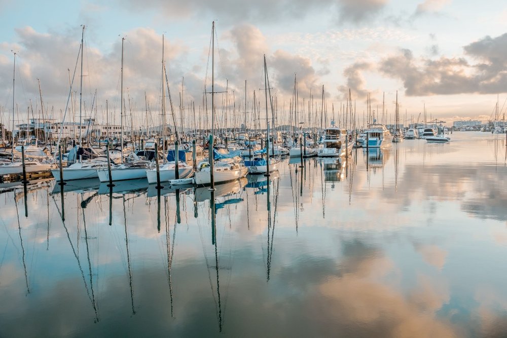 Dạo Bờ Biển Từ Trung Tâm Đến Vịnh Auckland