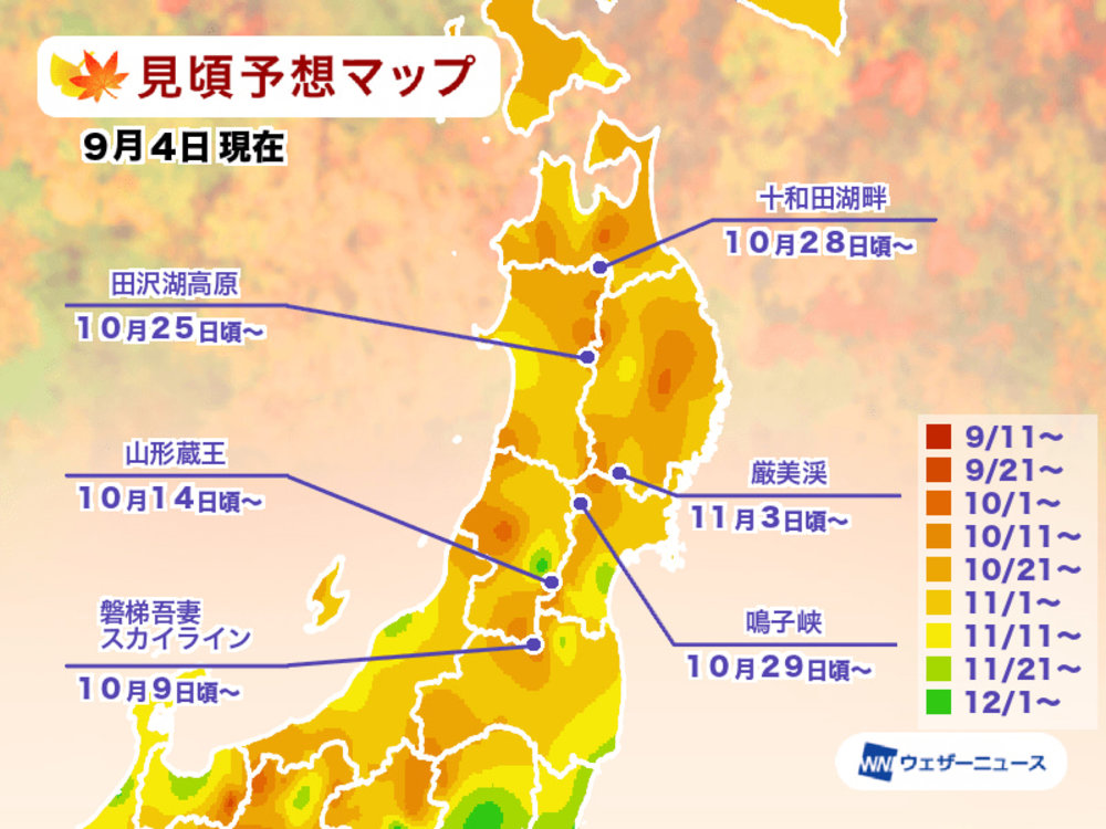 日本東北紅葉2025, 青森紅葉, 山形紅葉, 仙台紅葉