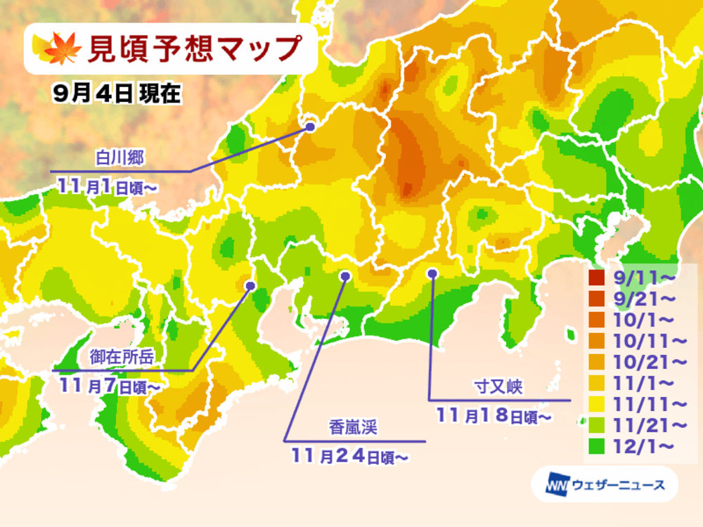 日本東海紅葉, 白川鄉紅葉