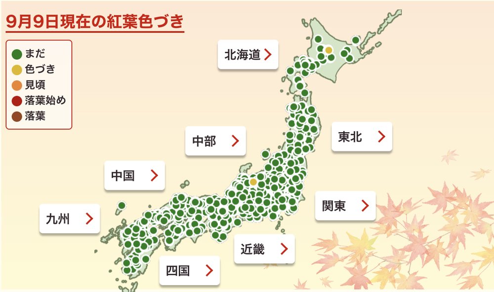 [HK]Weathernews紅葉