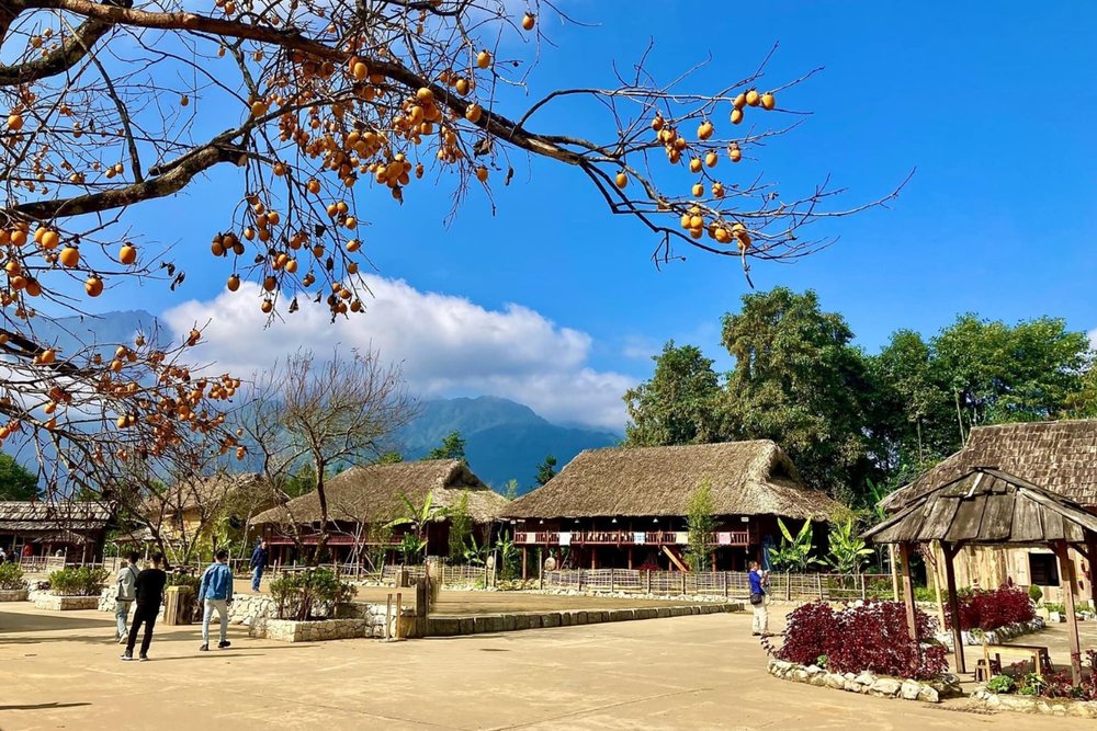 Khám Phá Bản Làng - Hòa Mình Vào Văn Hóa Bản Địa