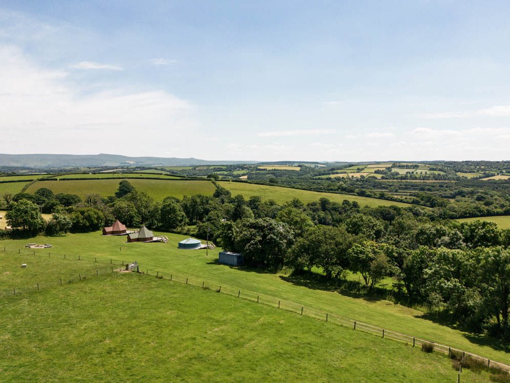 The Green Oak Tree Lane