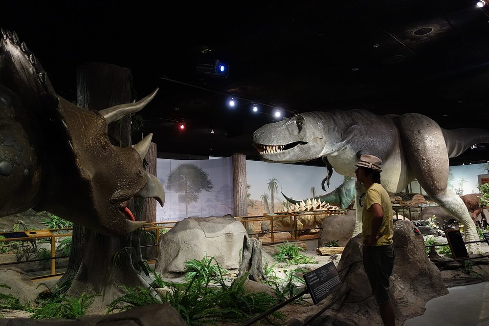 Dinosaur exhibit at Las Vegas Natural History Museum with visitor