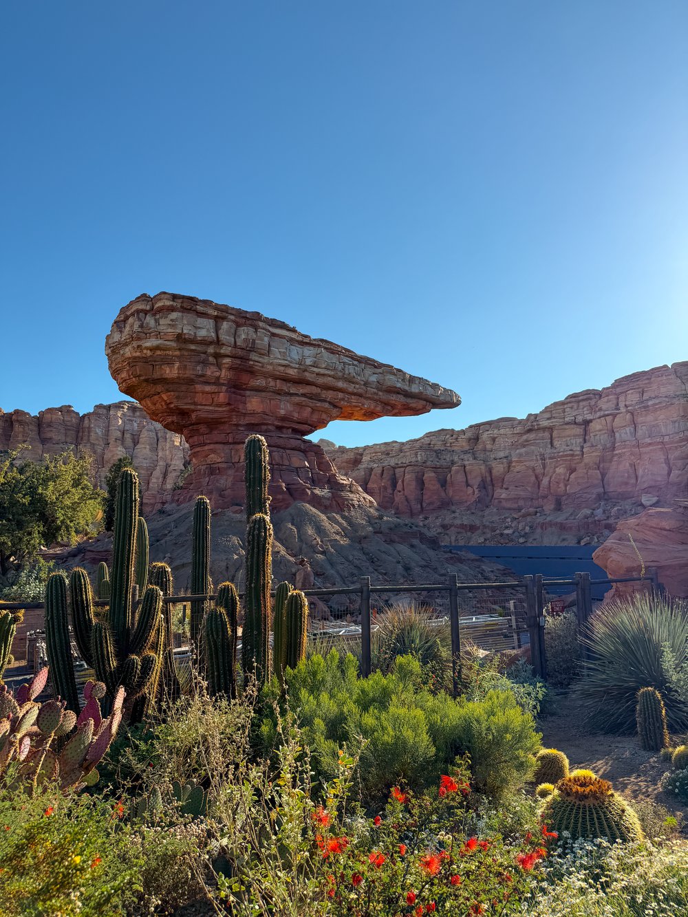 Radiator Springs Racers - Best Rides at Disney California Adventure Park
