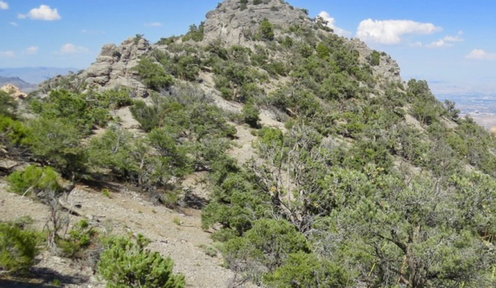 View from Red Rock Canyon