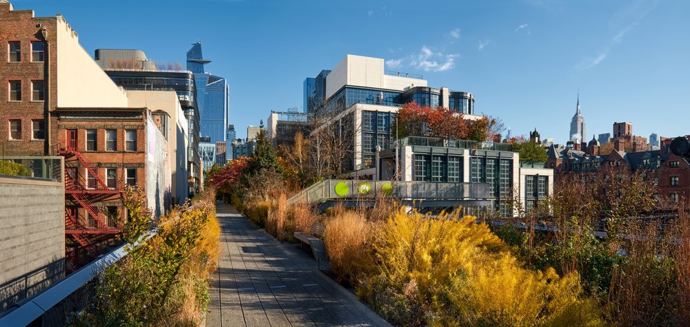 Paths of the High Line