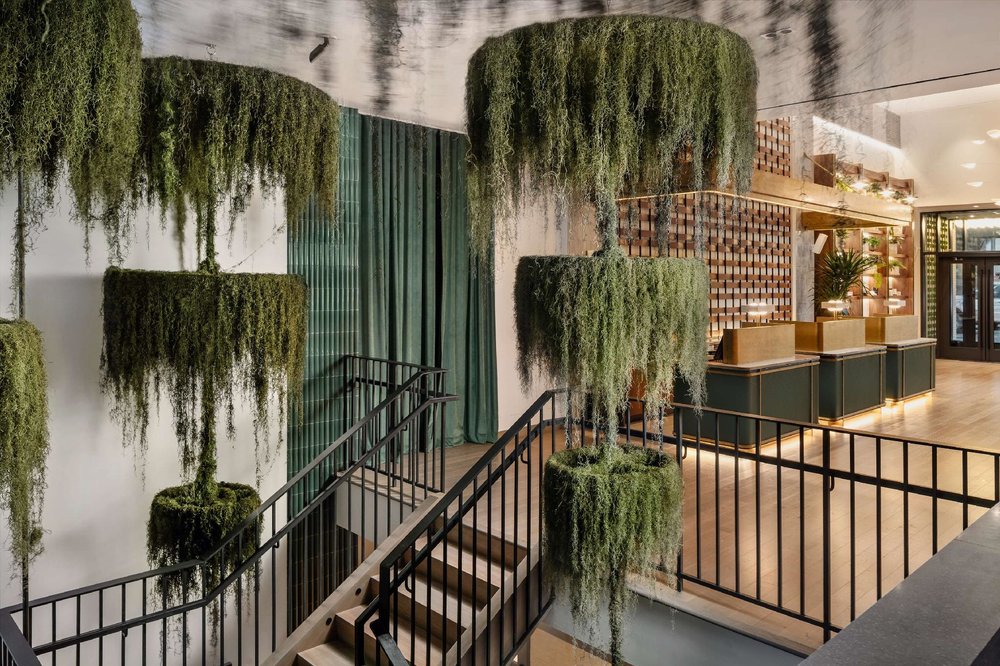 Hanging vine-filled chandeliers decorate the lobby of Arlo Midtown