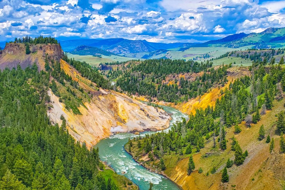 Tower-Roosevelt – Địa Bàn Của Gấu Và Linh Dương