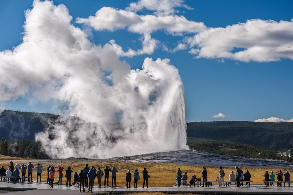 Ven Hồ Và Sông – Thế Giới Của Chim Nước Và Thú Nhỏ