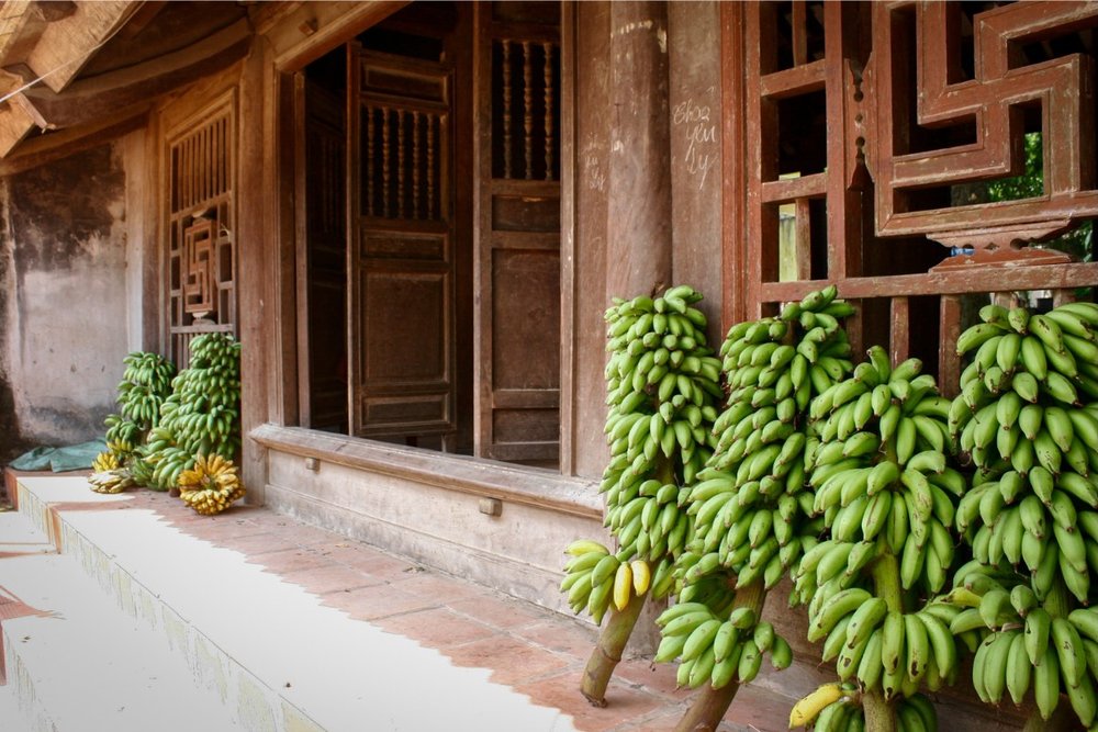 Lịch Mở Cửa Làng Cổ Đường Lâm Và Giá Vé Vào Cổng Tham Khảo