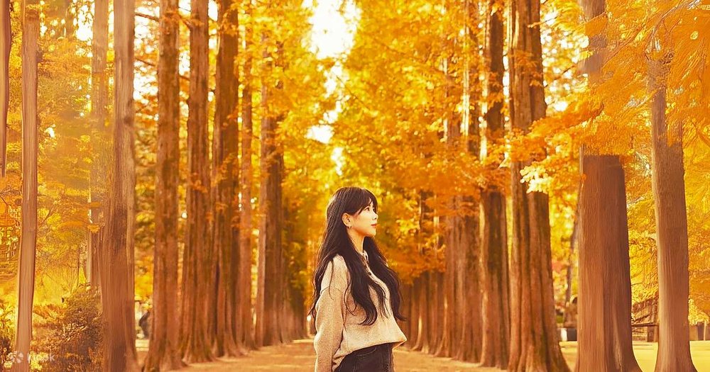 Mẹo "Săn" Ảnh Đẹp Ở Đảo Nami Vào Mùa Thu 