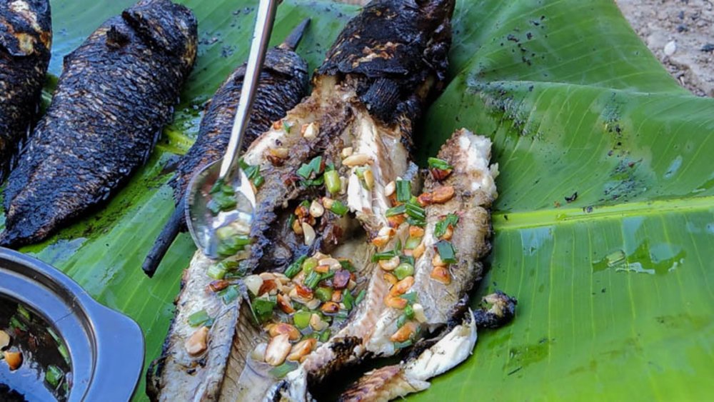  Cá Lóc Nướng Trui – Mộc Mạc Giữa Đồng Quê