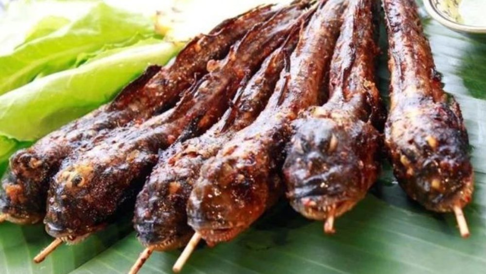 Cá Thòi Lòi Nướng (Cà Mau) – Đặc Sản Từ Loài Cá “Leo Cây”