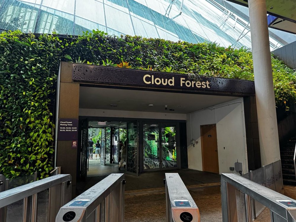 ガーデンズバイザベイ 買い方 クラウドフォレスト入場口