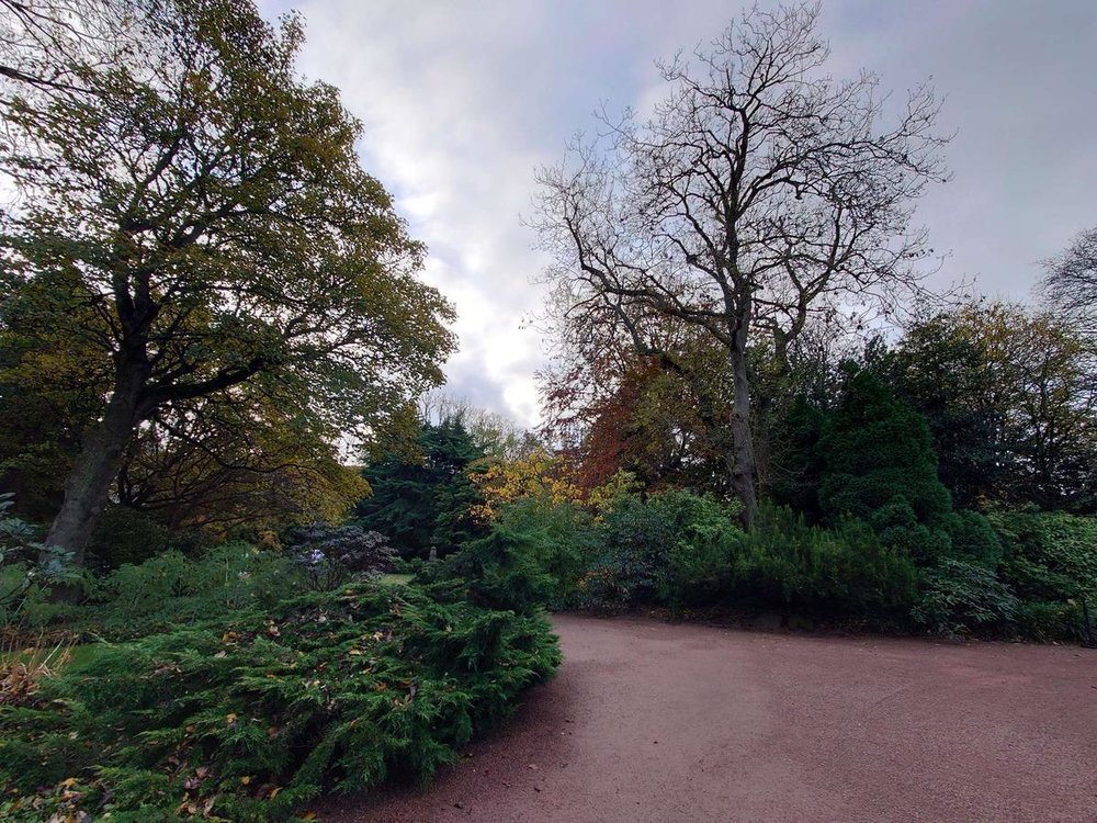 Tree-lined path in Holyrood Palace gardens with colorful foliage