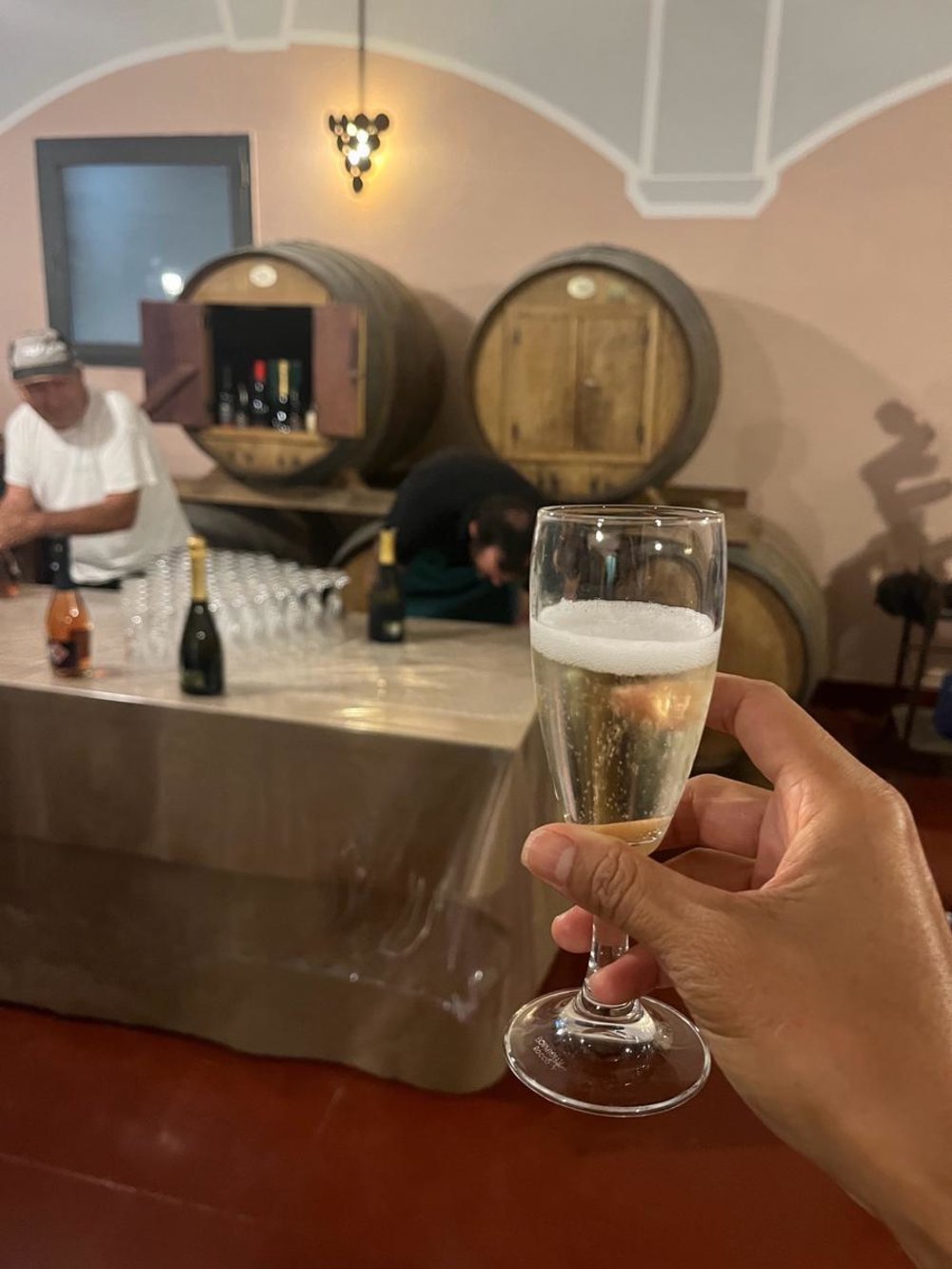 Hand holding a glass of sparkling wine in a cellar with wine barrels and bottles