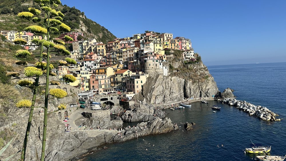 view of Manarola Cinque Terre Italy