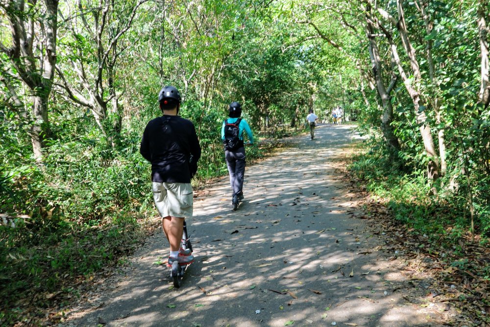 People using scooters.