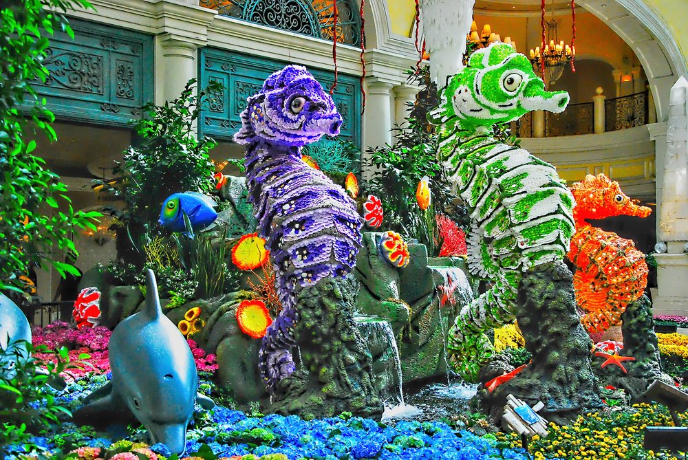 An enchanting "Under the Sea" display at the Bellagio Conservatory & Botanical Gardens